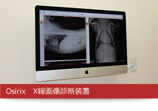Osirix　X線画像診断装置
