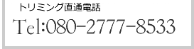 TEL：080-2777-8533